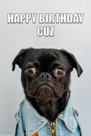 Happy birthday meme for cousin