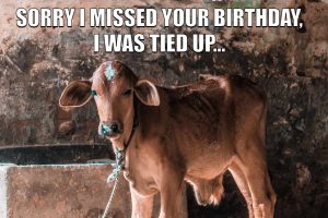 SORRY I MISSED YOUR BIRTHDAY, I WAS TIED UP