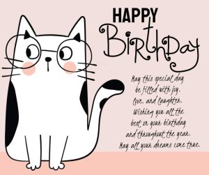 cat image