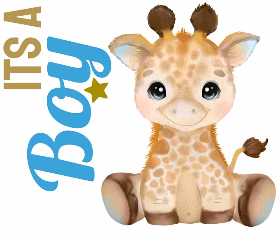Its a Boy - 8 - Personalized Templates